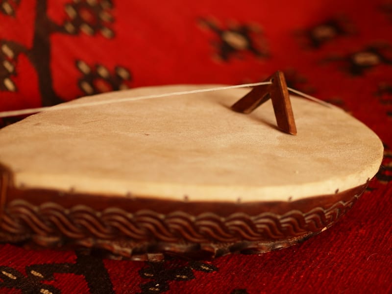 Gusle detail foto cicko