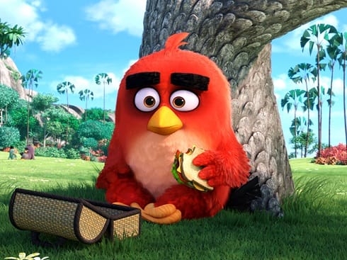 Angry Birds SBgr01