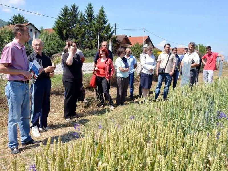 Dani polja u prokuplju foto Lj M Juzne vesti
