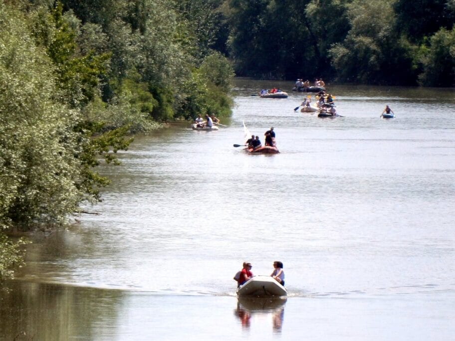 Moravska regata Dragan Vidojkovic