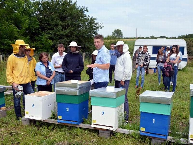 Letnja skola pcelarstva u Prokuplju foto Lj M Juzne vesti
