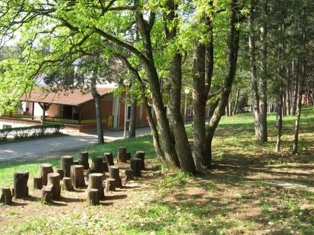 Besplatan odmor u Divljani celog leta za ugrožene mališane 7 gaj foto fb crveni krst