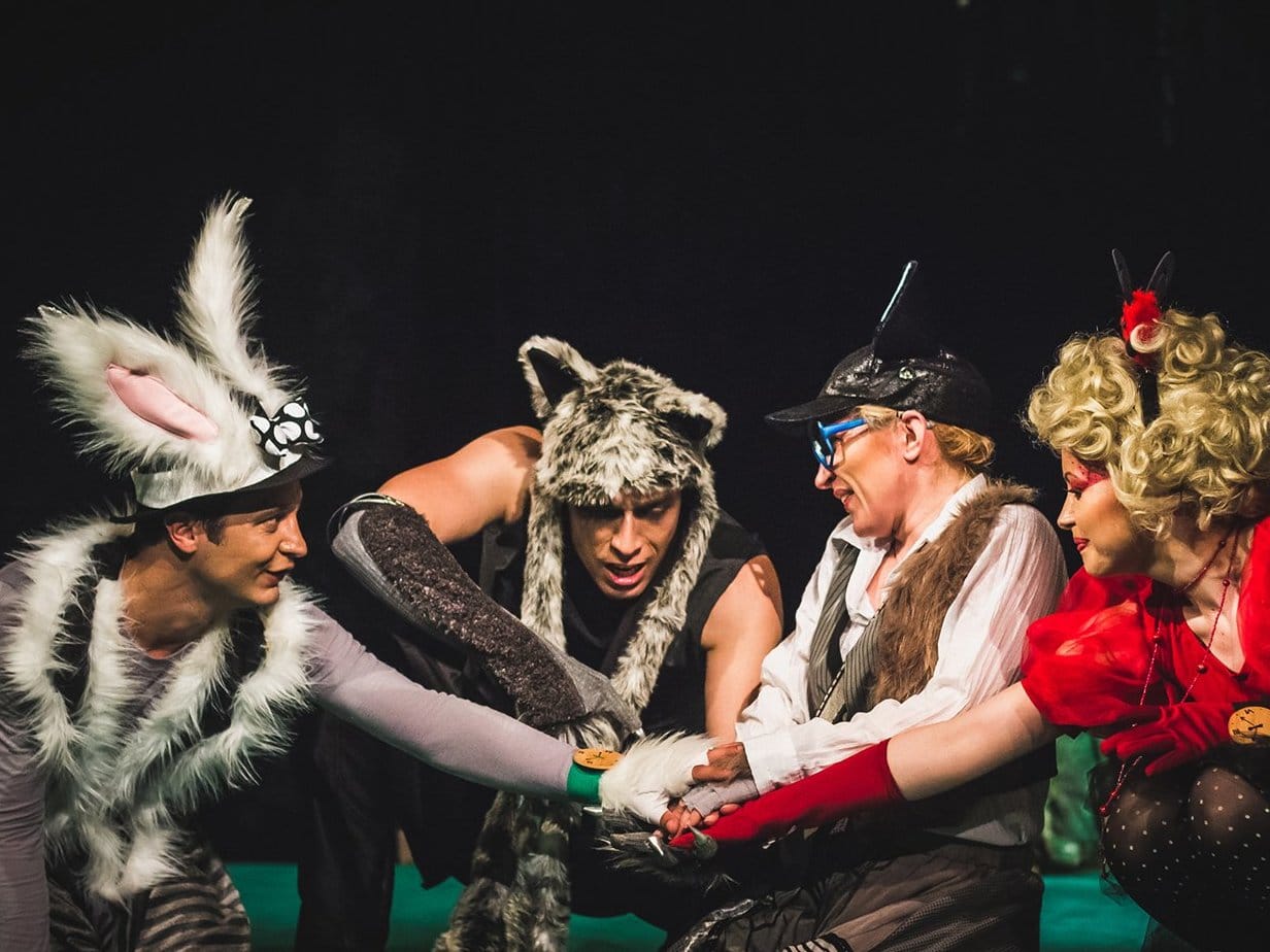 Stonoga foto Davorin Dinic