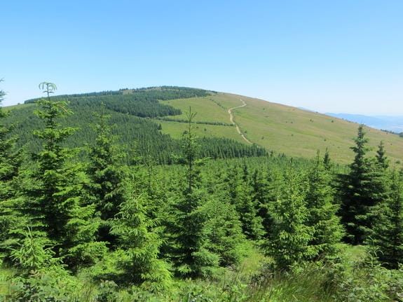 Gramada foto PK Zeleznicar