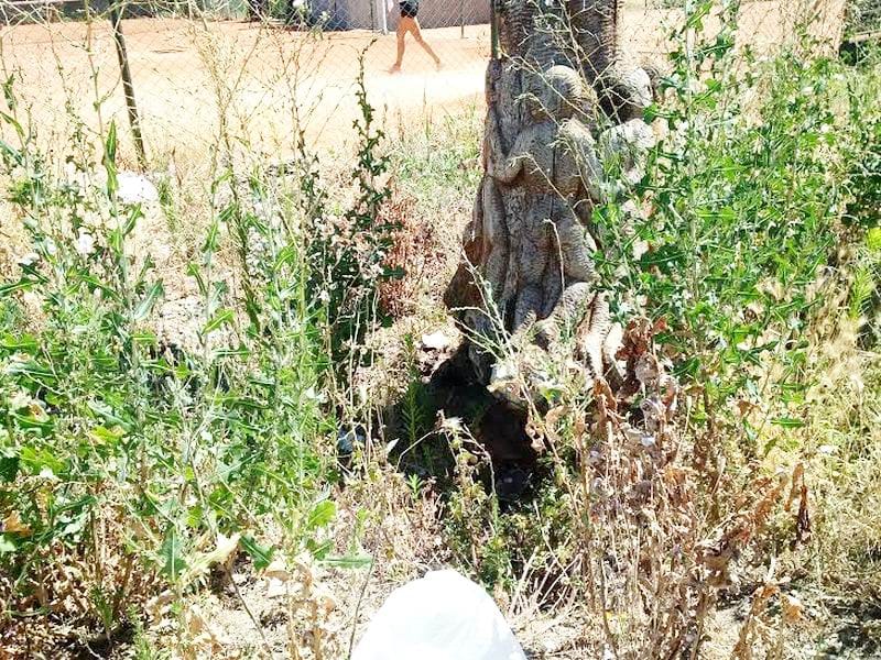 skulptura zarasla u korov prikazuje porodicu foto lj m