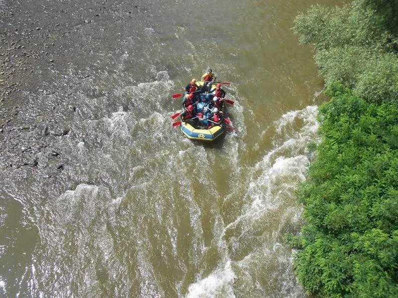 regata Juzna Morava foto Zoran Dzonov 3
