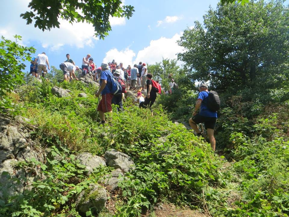 11144915 715426025235617 5106162334903545785 n