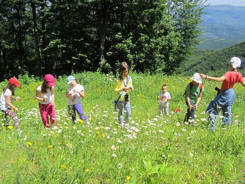 Letovanje na Bojaninim vodama