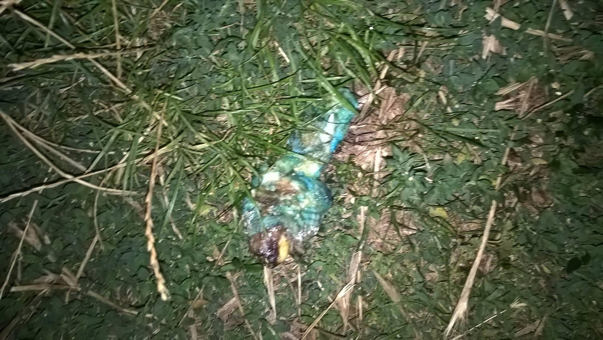 173af505 10a6 41c9 9167 248ad89745e9