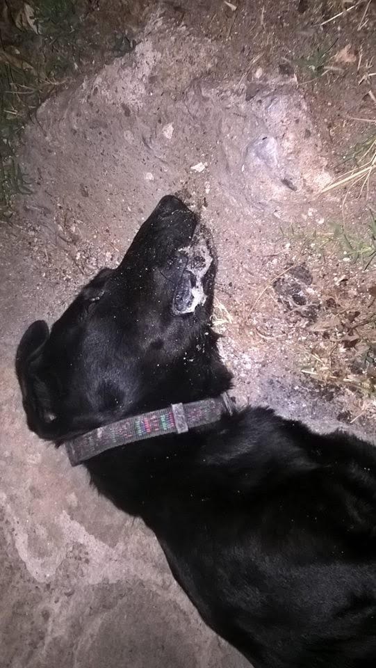 24aee582 ce59 4b7f 95c8 d315c9e137d0