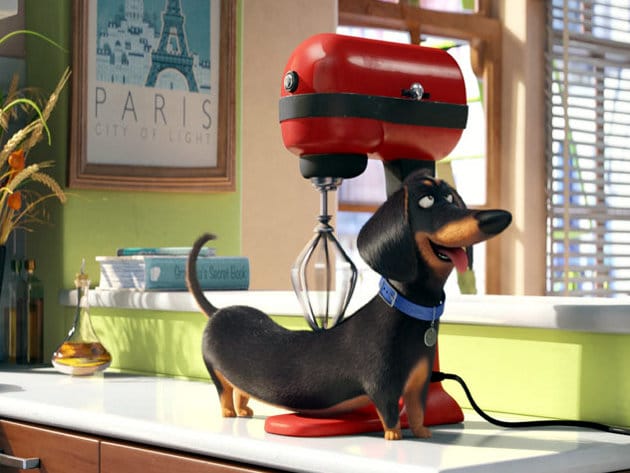 Horor, komedije i akcija noviteti u "Vilinom Gradu" 11 the secret life of pets movie image