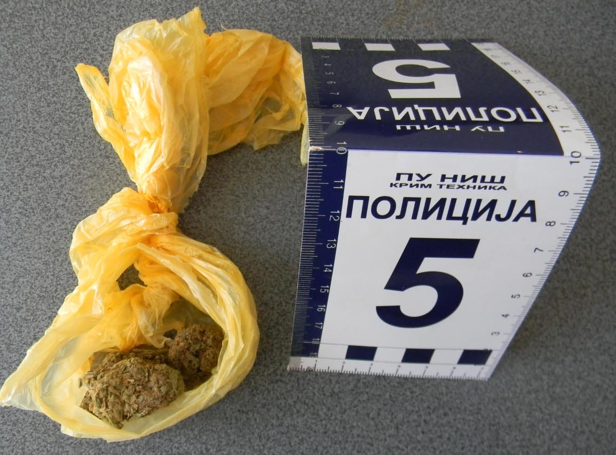 Marihuana zaplena PU Nis