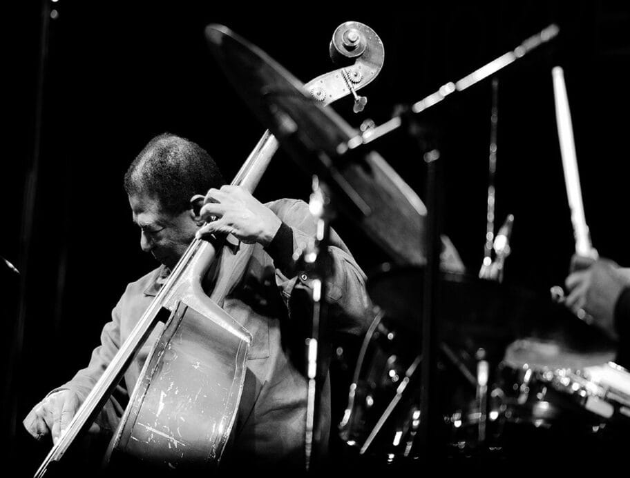 Nišvil ugostio džezere po 33. put 7 Nisville Vanja Keser