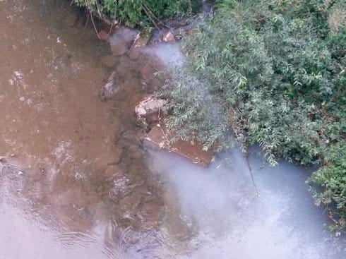 kutinska reka pomor ribe