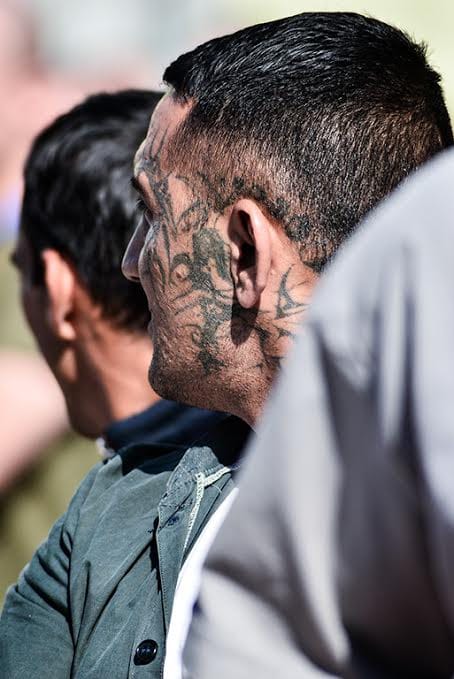 4e93dadd 627e 42c6 8b05 7933763f57ea