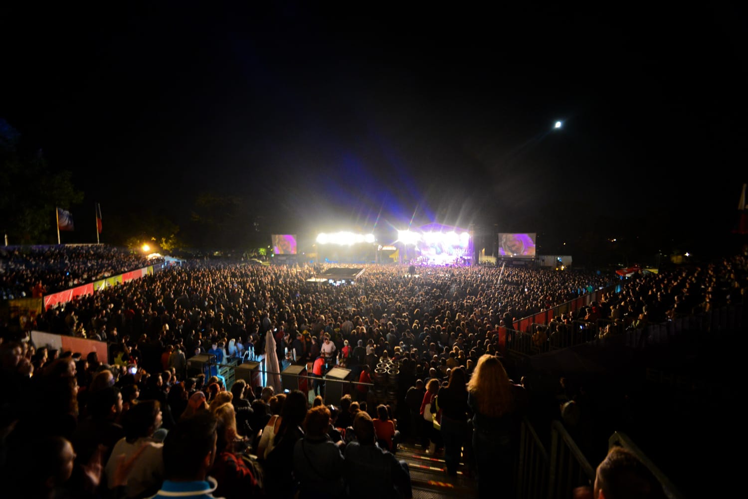 NISVILLE DAN 4 JV FOTO VANJA KESER 8