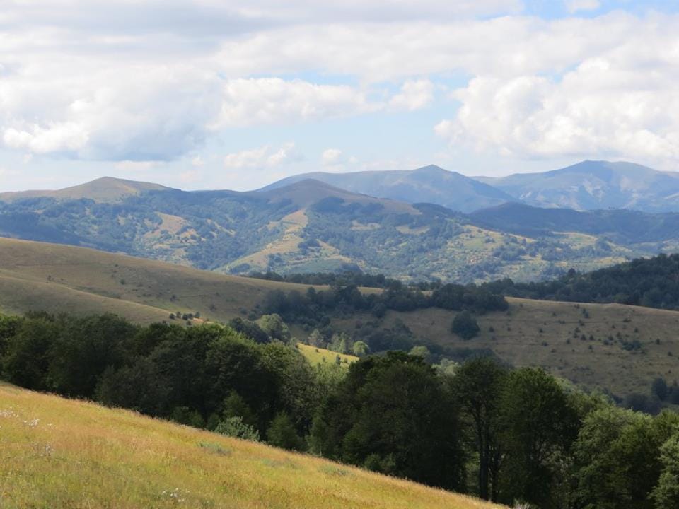 13939589 1506203826072586 6835144076720114919 n