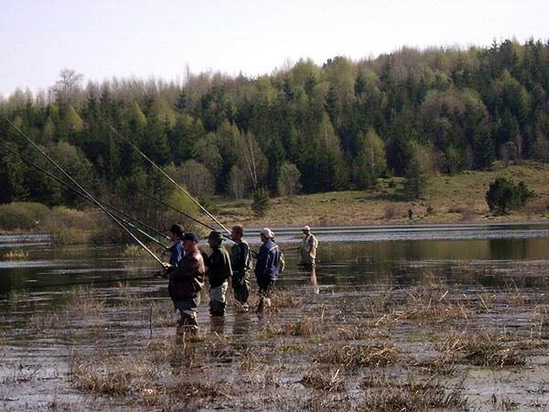 vlasinska somovijada foto i m