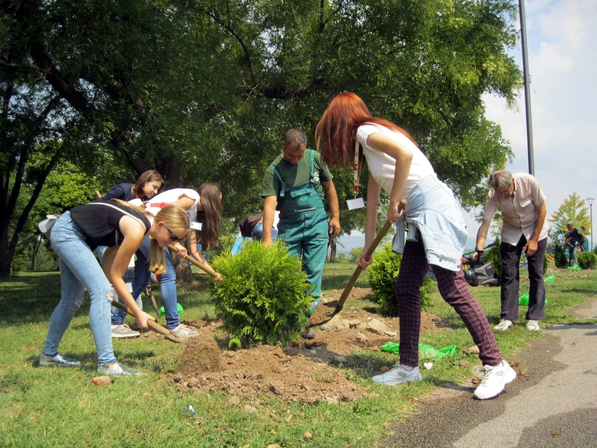 Filmski susreti tuje JV