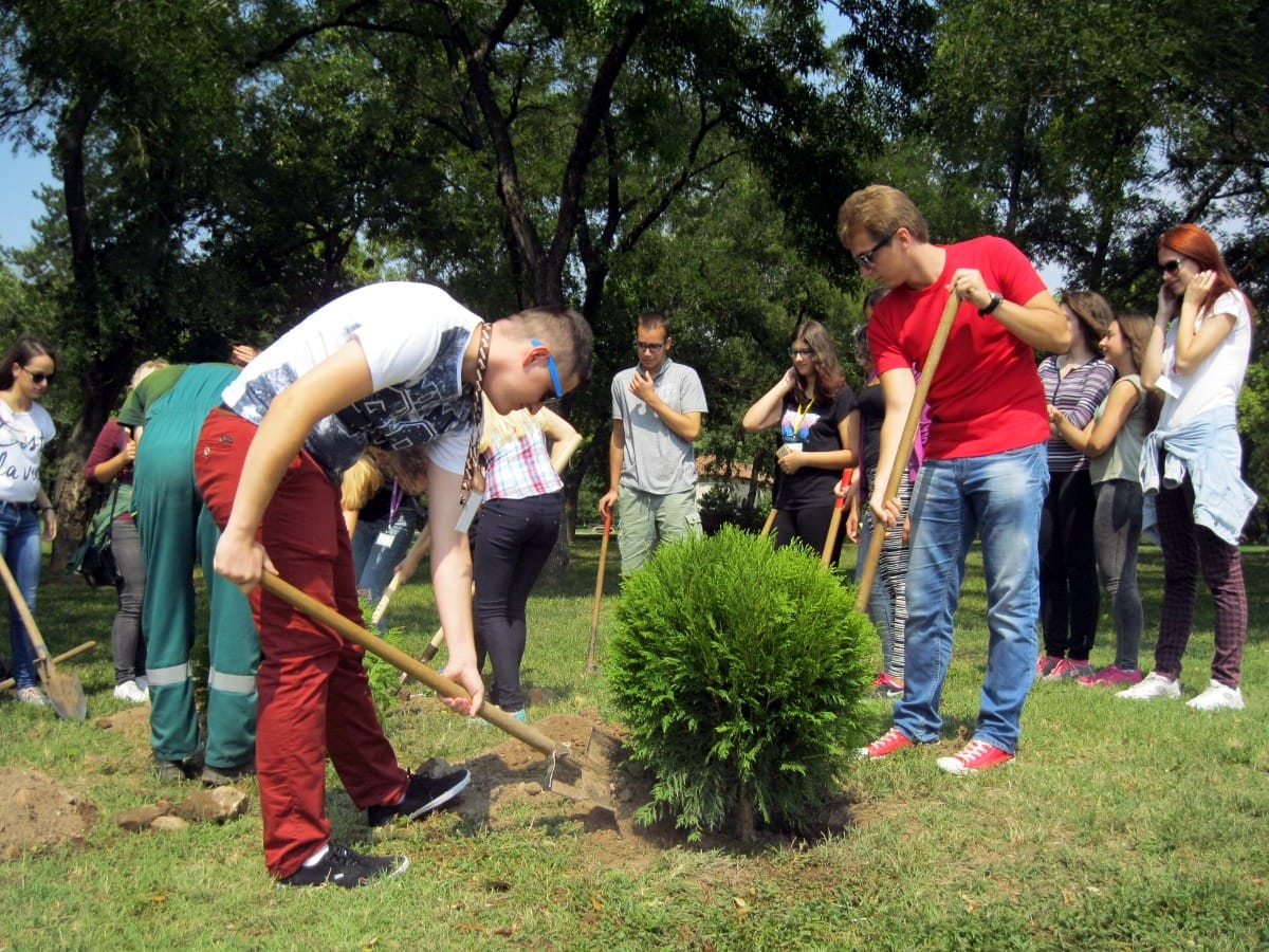 Tuje Filmski susreti JV