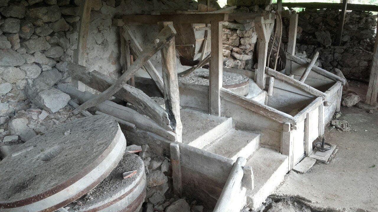 14191324 10210689602462464 1533390787 o