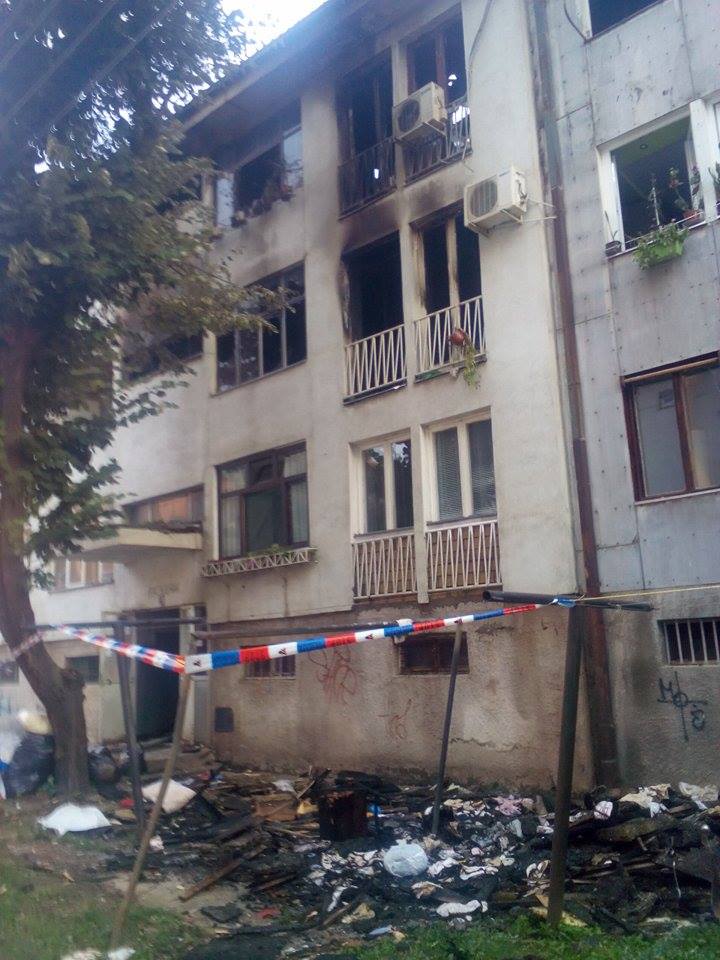 14194356 10210794421402872 1271777208 n