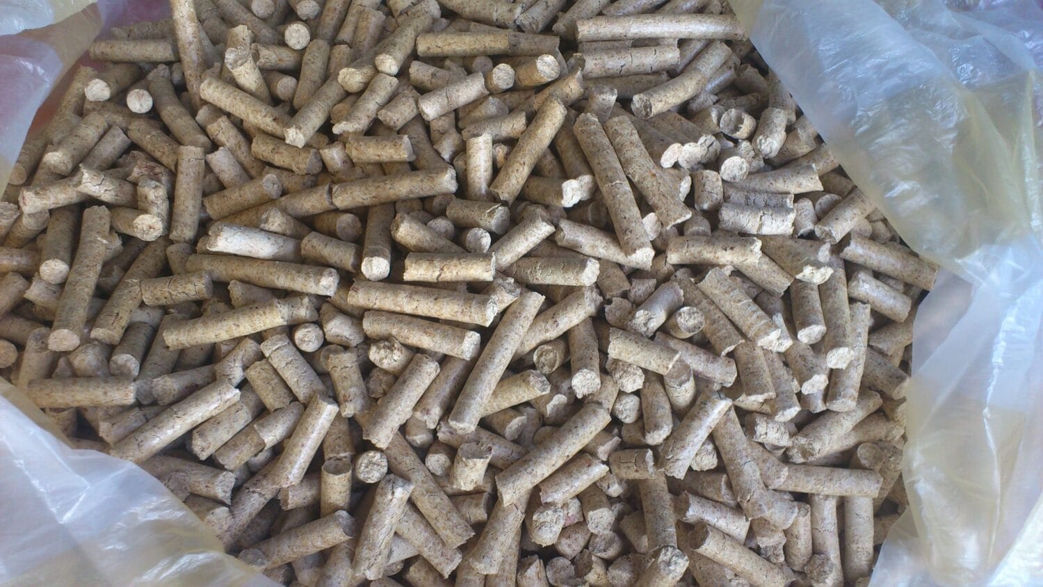 Pelet fptp wikimedia petrov scaled