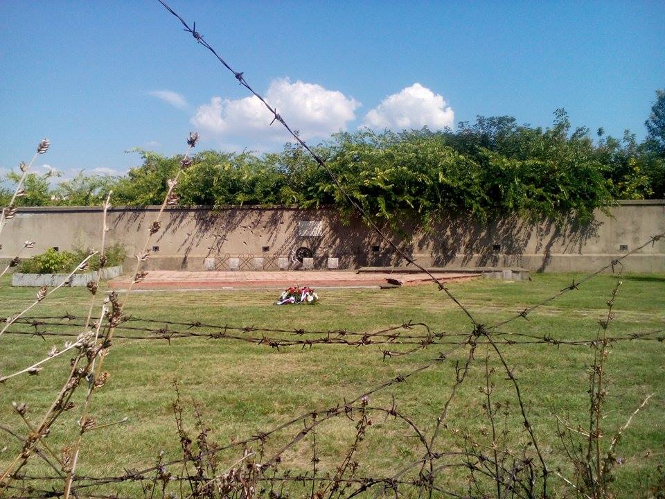 14328976 10210851224982926 1725545709 n