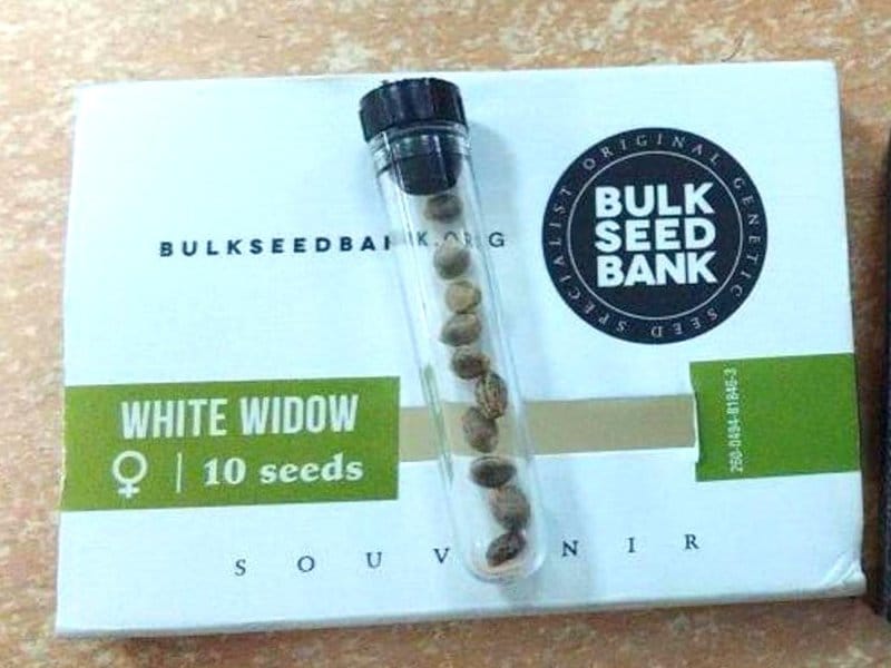 Semenke marihuane u podu automobila 18 marihuana foto uprava carina