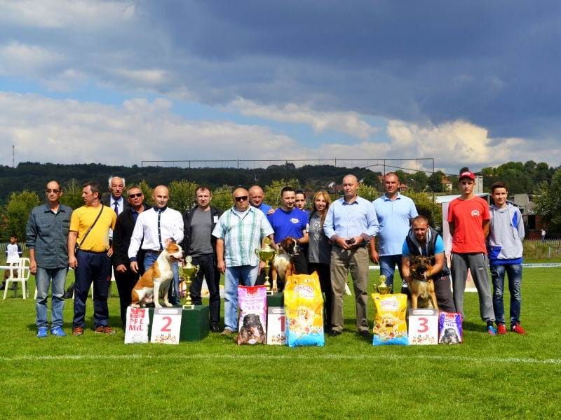 CAC Svrljig foto Vladan Kostic