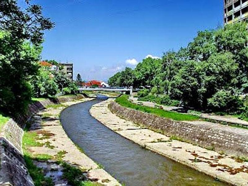 veternicki kej foto d m