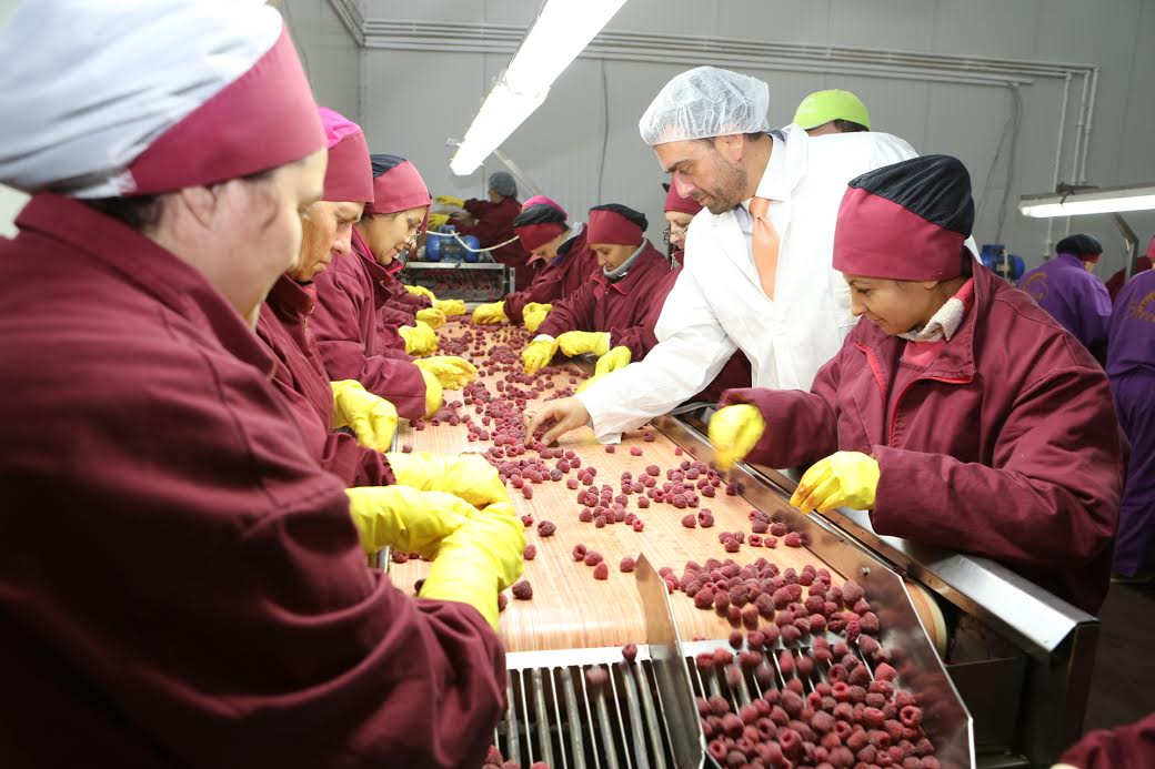 Voce foto Evropski progres