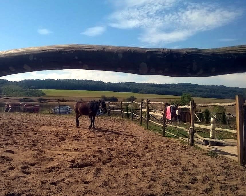 foto Biljana Marinkov