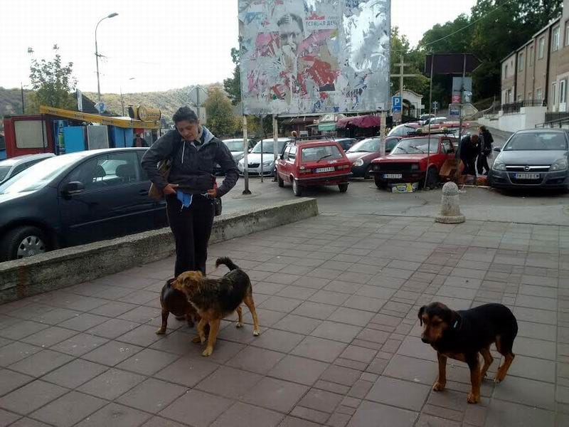 Biljana Vucetic Udruzenje Sapica PK foto Lj M