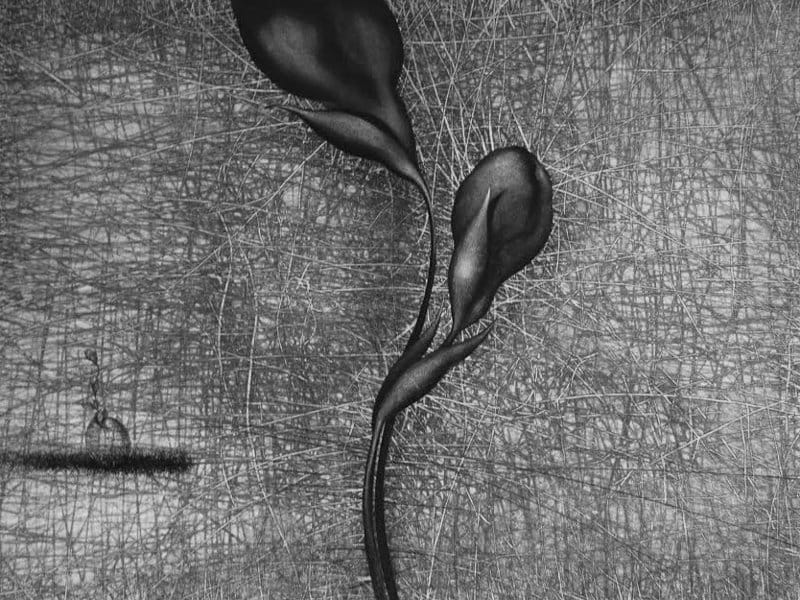 Slika Bugarske umetnice