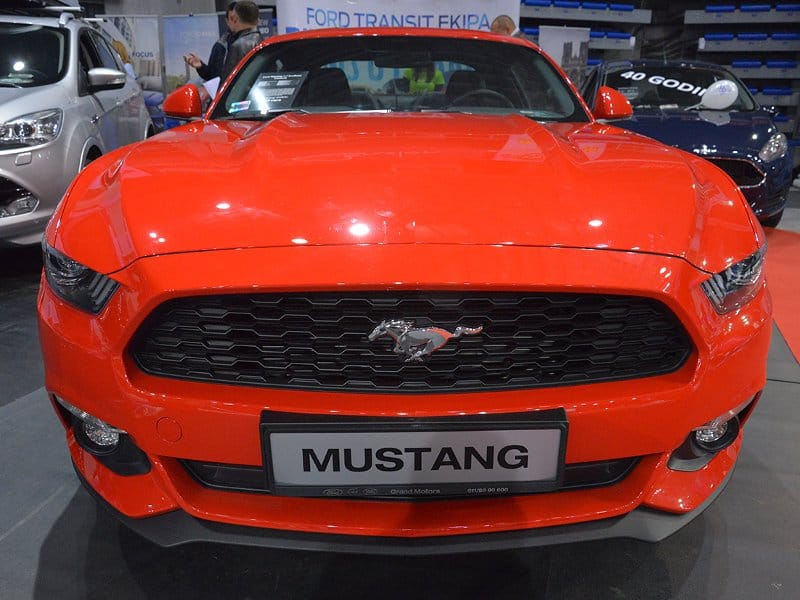 mustang Vanja Keser