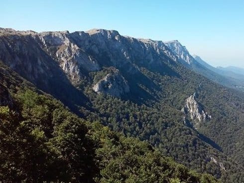 suva planina pkzeleznicar