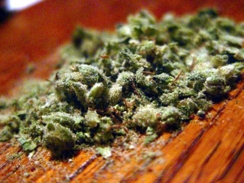 490x370 marihuana