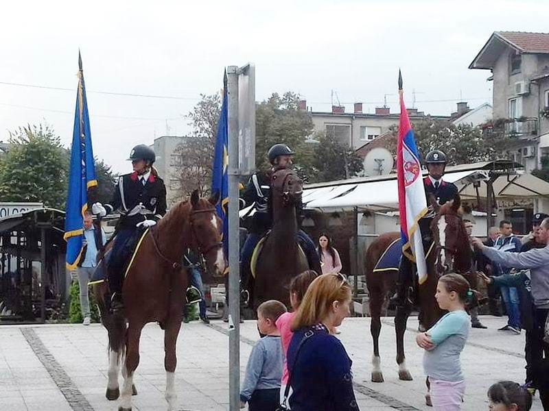 policijska konjica foto d m