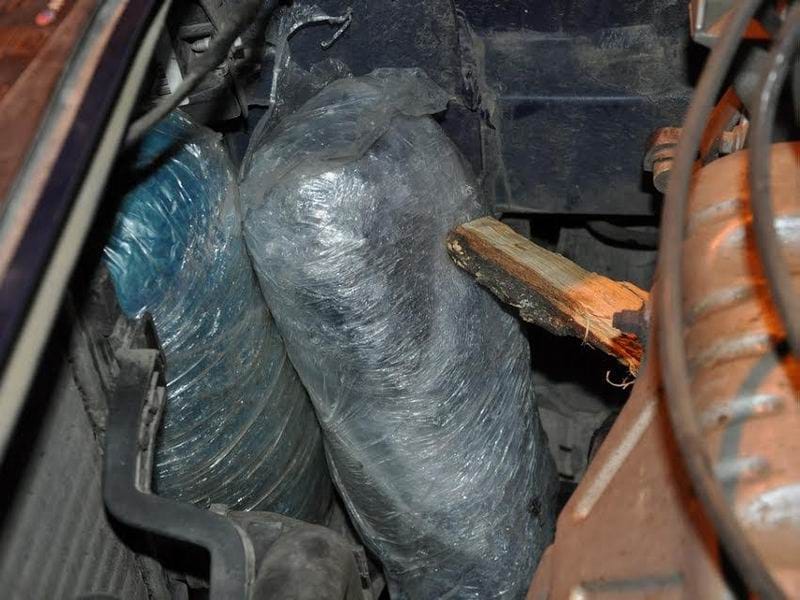 sakrivena marihuana foto MUP