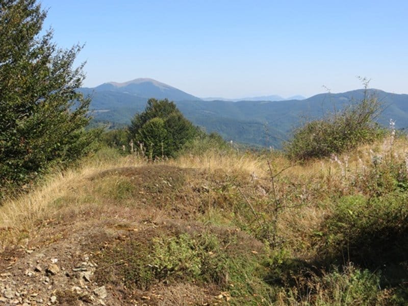 Organizovano planinarenje na najnižu planinu kod Vlasine 1 Planina Tumba