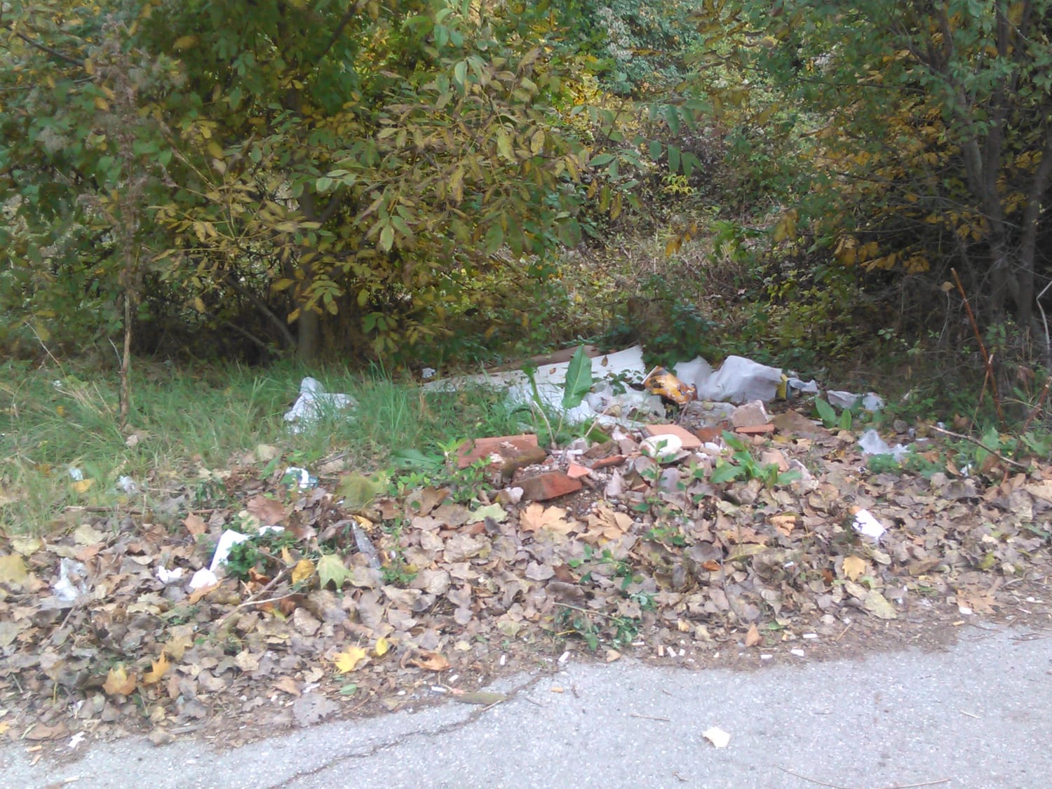 Lisce prekriva otpad JV