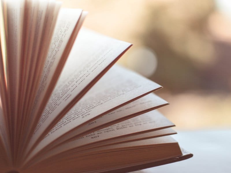 knjigafotojuznevesti