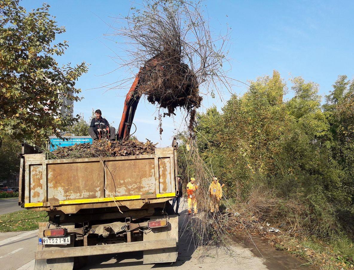 Ciscenje,-naslovna,-foto-JV-