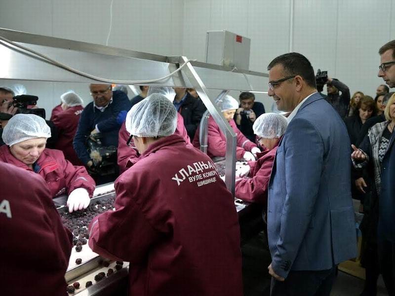 Nedimovic Leskovac foto D M