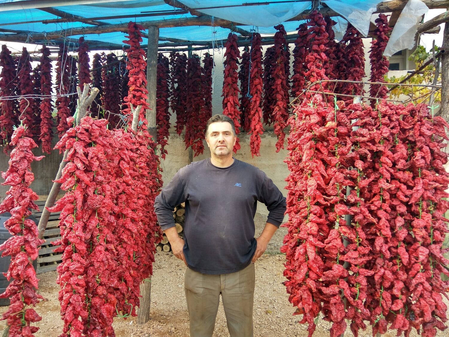 Prvoslav-Stojic-proiyvodjac-vrtke.jpg-(2)