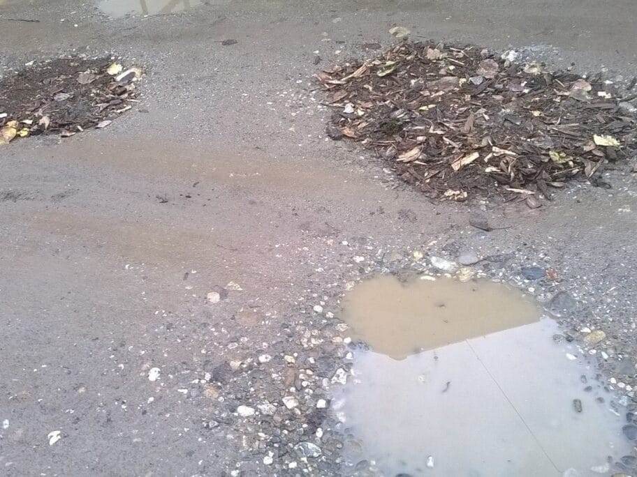 Zatrpane rupe foto JV