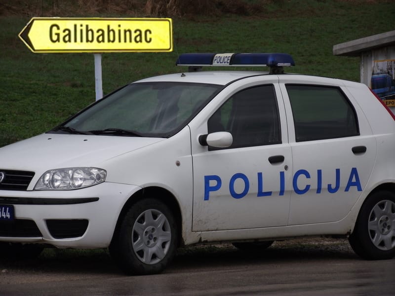 Gailbabinac policija ilsutracija Kosta