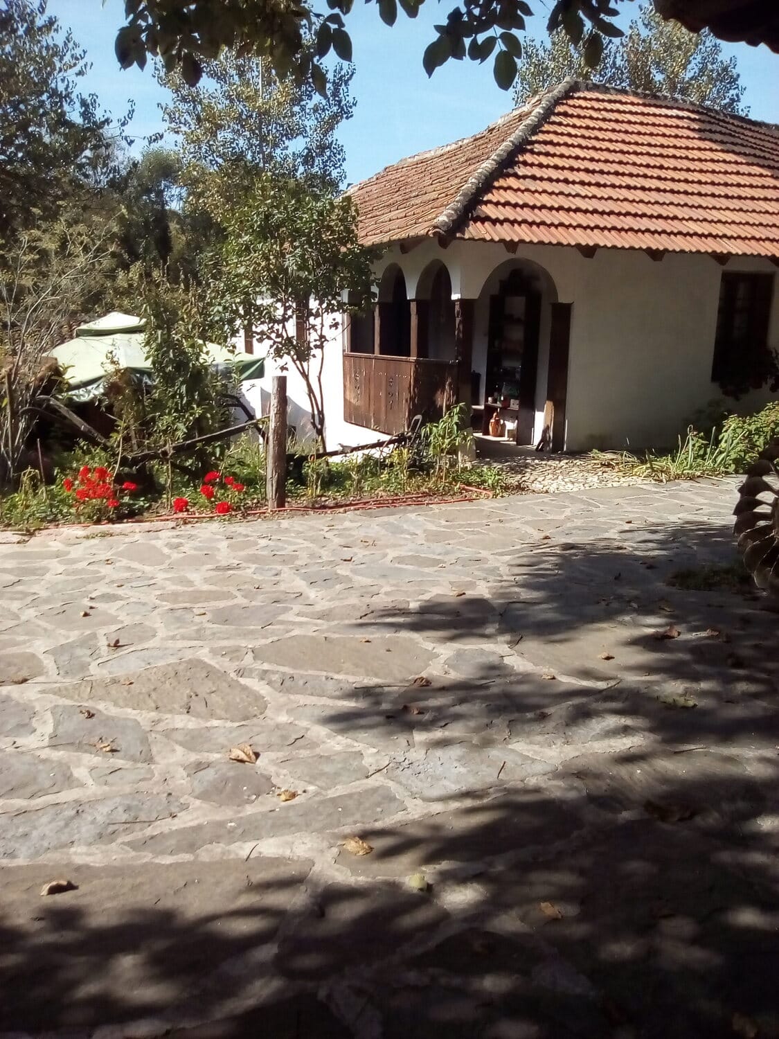 Grudonjska-vodenica---Golub-provodi-vreme-tu-Autor-Ja