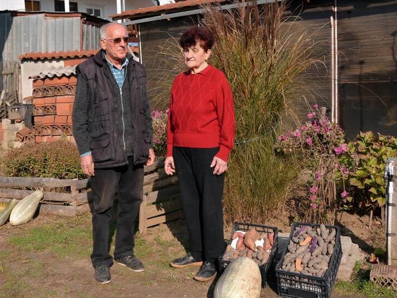 svetislav sa suprugom gaji neobican krompir foto lj m